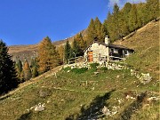 Anello dei MONTI ARETE (2227 m) e VALEGINO (2415 m) da Cambrembo di Valleve il 17 ottobre 2022- FOTOGALLERY